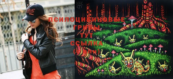 шишки Балахна