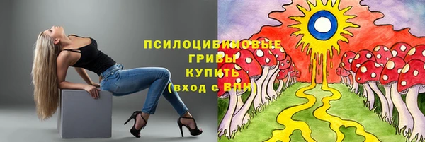МДМА Арсеньев