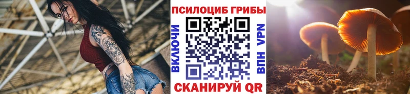 продажа наркотиков  Сортавала  Псилоцибиновые грибы прущие грибы 